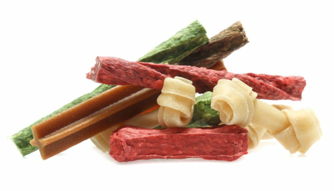 bones and colorful sticks for dog treat with vitamin and oral health on white background