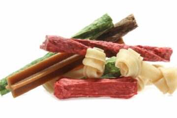 bones and colorful sticks for dog treat with vitamin and oral health on white background