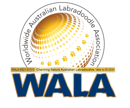 Eingetragenes Mitglied beim Australian Labradoodle Verband WALA