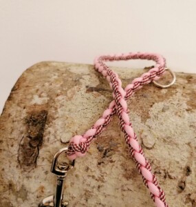 Modell "Molly" für kleine Hunde